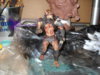 DSCN1955.JPG