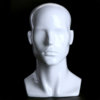 perfect-mannequin-head-01.jpg