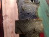 IMG_20191024_203126106.jpg