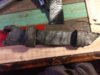 IMG_20191024_203112177.jpg