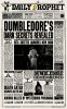 Dumbledore dark secret.jpg