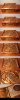 hearthstone_box_replica_by_gaiuscassius-d7czwx2.jpg