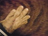 DSCF1507.JPG