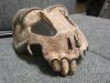Nell Mask (1).JPG