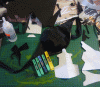 Progress-gif.gif