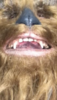 0DAA94AF-6B17-4522-A9AA-6E5CFCDC3624.png