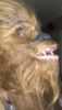 B6392E21-B8E1-4B1D-8C19-E211A2E05021.png