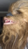 08A9015A-B3F4-4698-9052-B1542522C8A5.png