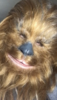 8F9E1675-E024-440C-8ECA-3553B925935E.png