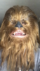 DEDE7845-1D8D-43D4-880E-07D77AC11F2A.png