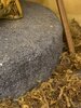 IMG_3334.jpeg