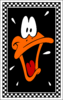 Daffy Duck 2.png