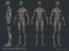 muscles-02.jpg