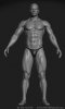 muscles-03.jpg