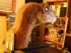 DSCN1720.JPG