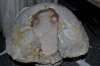 sm_DSC_0249.JPG