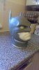 sculpt pic 2.jpg