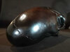 skull6.jpg
