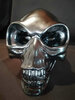 skull1.jpg