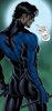Nightwing_0085.jpg
