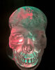 Crystal Skull C01RGWs.jpg