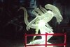 DSCF5304.JPG
