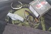 20200804_124930.jpg