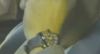 20200514_232718.png