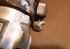 20200901_174159.jpg