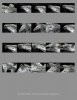 MF_contactSheet_001.jpg