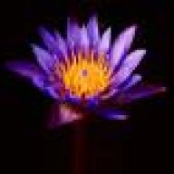 FollowTheSun