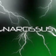 Narcissus