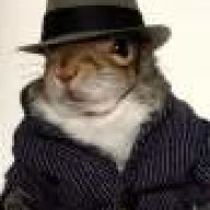 GangstaSquirrel
