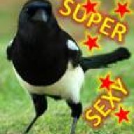 Captain MAGpie