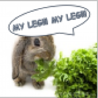 Lord Lettuce