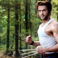 Wolverine29