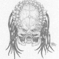Crowpredator