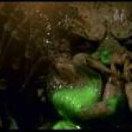 Dr Odd