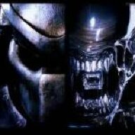 AVP