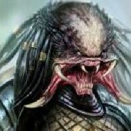 moragon wolf