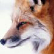 ArtfulFox