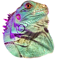 NuageRouge13