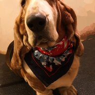 3OaksBassets