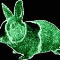 neonrabbit