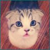 tonks319