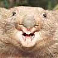 WombatOfFury