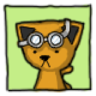 KamiCat