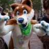 CosmicDoge