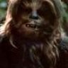 El wookiee 77