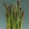 asparagus64